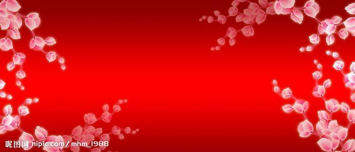 个人所得税不动产权证号下划线也在填写吗